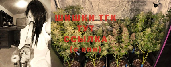 дживик Бугульма