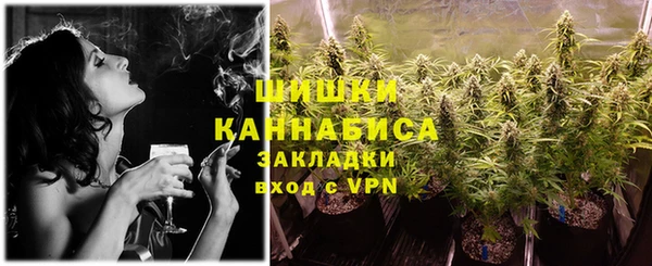 ешки Бородино