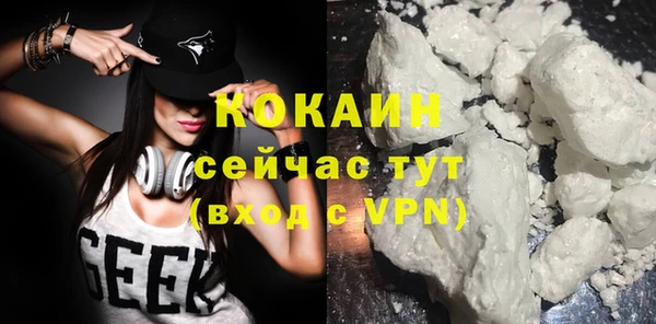 ешки Бородино