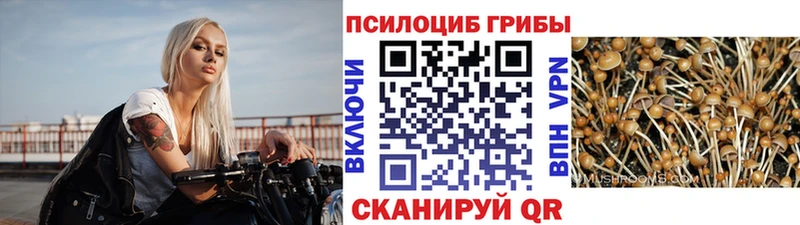 Галлюциногенные грибы прущие грибы  купить  цена  Когалым 
